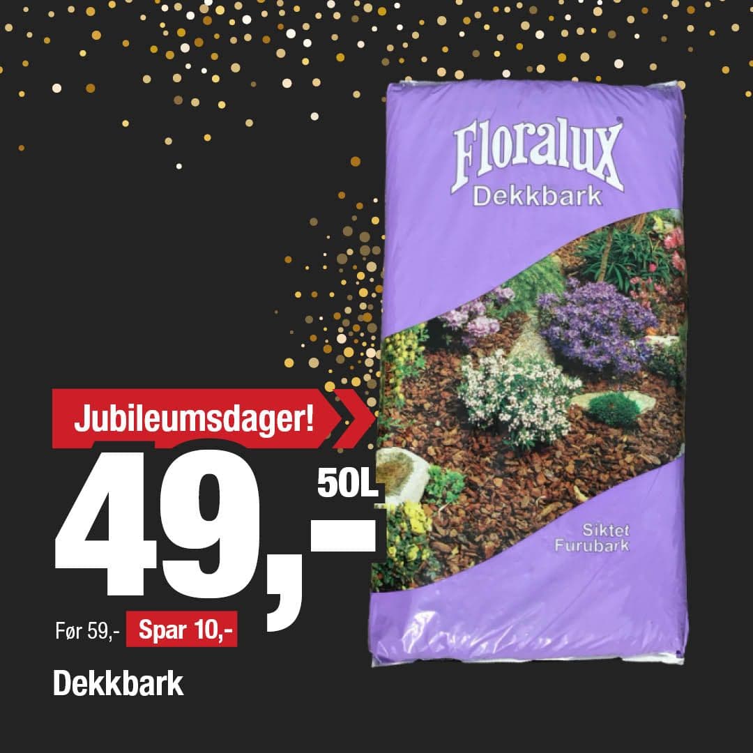 Jubileumsdager