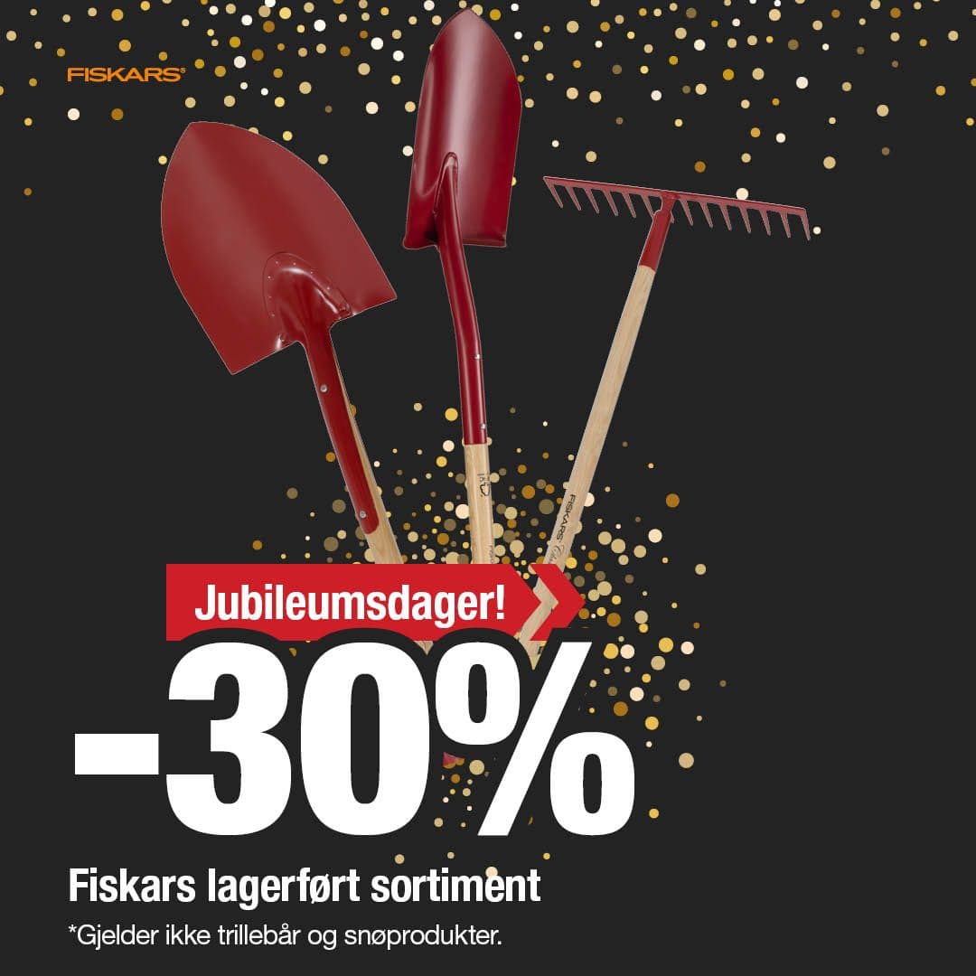 Jubileumsdager