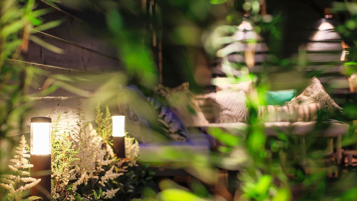hage med grønne planter og utebelysning
