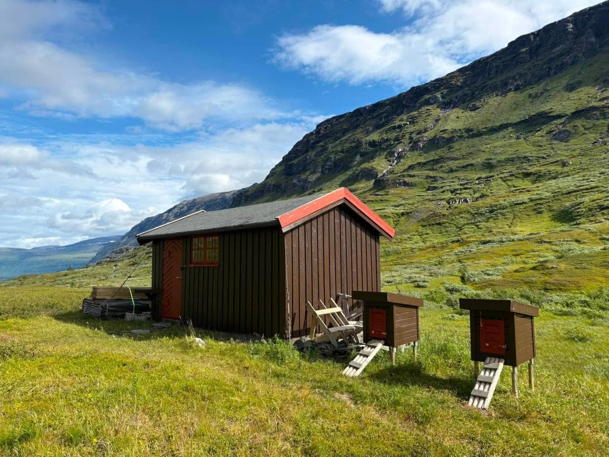 Bilde av en hytte i fjellheimen med to hundehus ved siden av