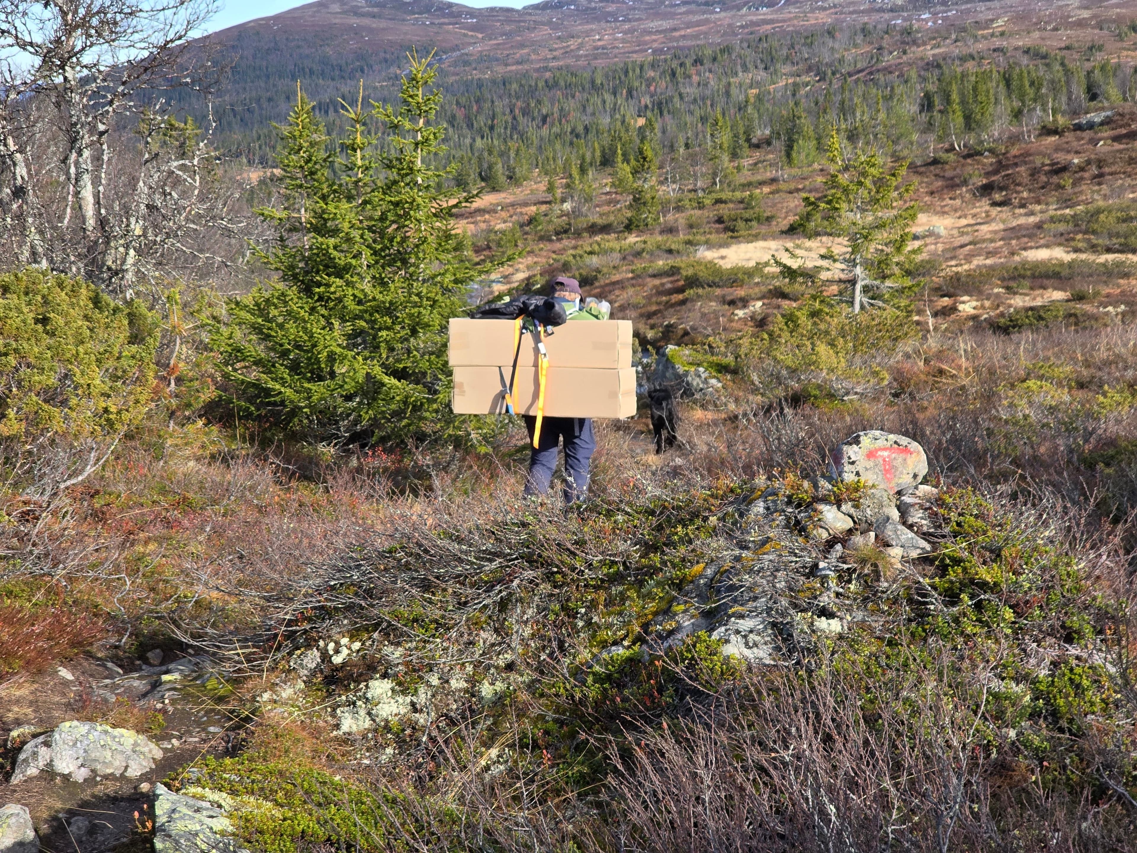 BIlde av noen som bærer materialer innover i fjellet mot Toveseter